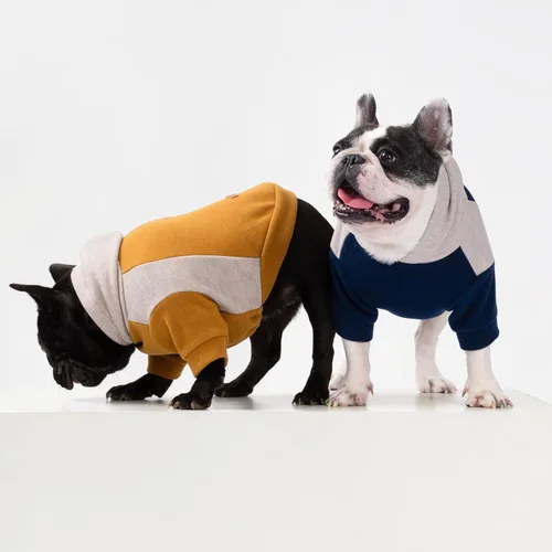 Vista 7 de Fitwarm - Sudadera con capucha para perros con bloques de color, ropa de invierno para perros pequeños niño niña, sudadera con capucha ligera