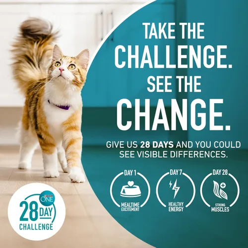 Vista 10 de Purina ONE Alimento seco natural para gatos, Tender Selects mezcla con salmón real, bolsa de 3.5 libras