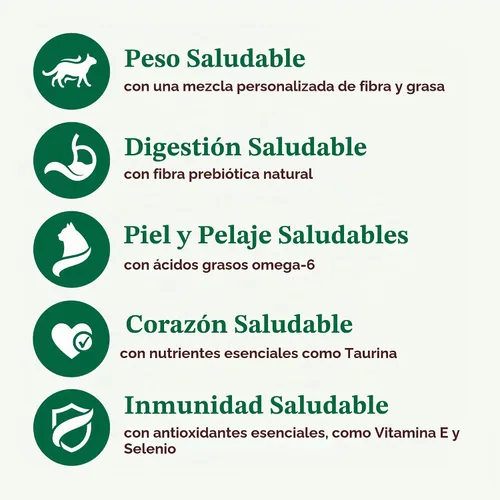 Vista 5 de Nutro Wholesome Essentials - Alimento seco para gatos adultos, pollo y arroz, 5 libras Real chicken #1 ingredient, natural prebiotic fiber for
