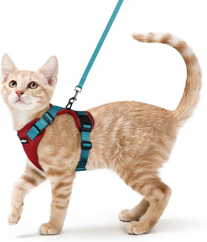 Vista 46 de rabbitgoo Cat Harness and Leash Set, Escape Proof Vest, XXS, Berry Pounce Soft Breathable Mesh, No-choke Adjustable Fit, Snap Buckles, Sturdy