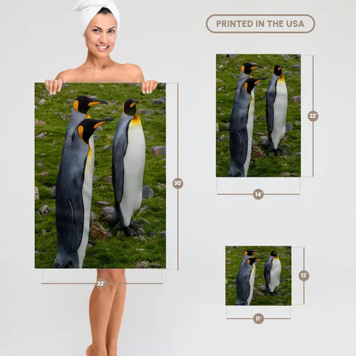 Vista 6 de 3D Rose South Georgia-Saint Andrews. Toalla de mano King Penguins, 15" x 22