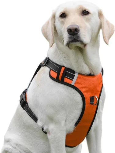 Vista 13 de Arnés para perro sin tirones con 2 anillos en D, ajustable, reflectante, suave, acolchado, chaleco Oxford y asa para perros pequeños, negro, S
