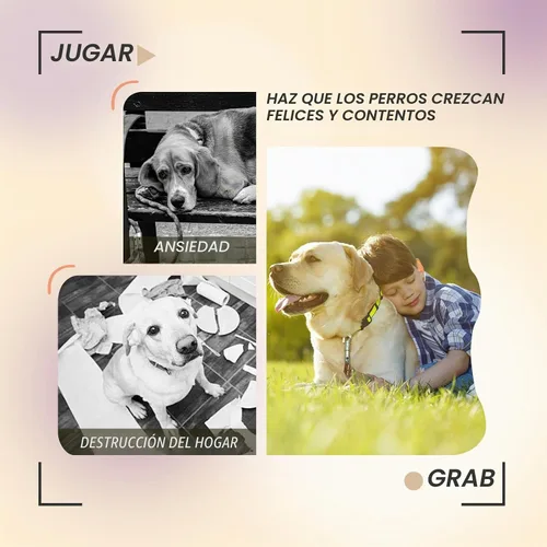 Vista 5 de PTLSY Lanzador automático de bolas para perros, máquina interactiva para perros pequeños y medianos, 3 bolas (incluye 2 pulgadas) y lanzador blanco