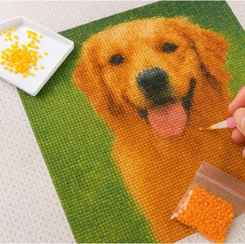 Vista 4 de Maydear Kits de pintura de diamantes personalizados para adultos – Foto personalizada para arte de diamantes, taladro completo 5D DIY Diamond Dotz