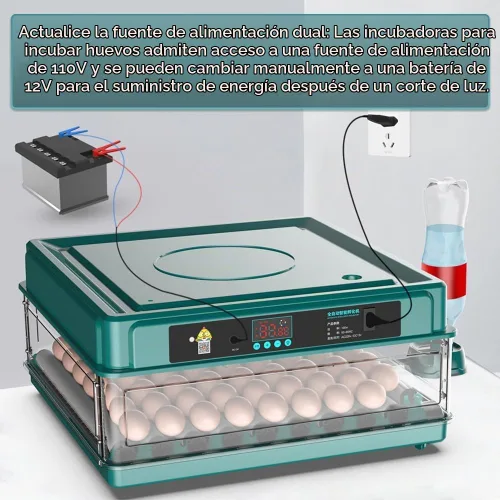 Vista 5 de Incubadora automática de huevos de 12 a 38 huevos digital con giro automático de huevos, control de temperatura y humedad, iluminación LED eficiente