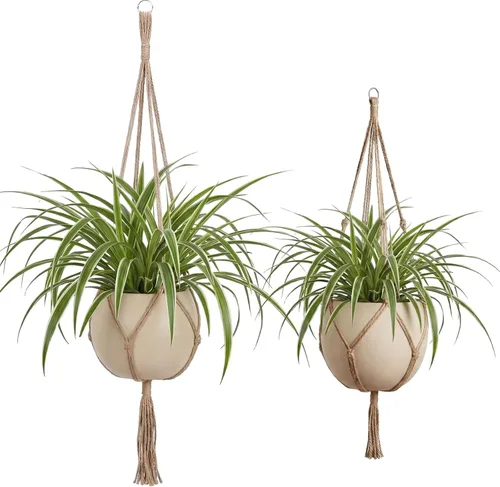 Vista 9 de EBOOT Paquete de 3 cuerdas grandes de macramé para colgar plantas de 33, 41, 48 pulgadas, para colgar macetas para decoración de interiores