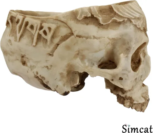 Vista 4 de Simcat Macetero de calavera, maceta gótica hecha a mano, diseño vintage
