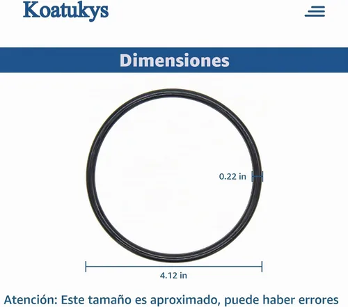 Vista 6 de 2PCS R172009 O-283 O-Ring para clorador de arco iris Pentair