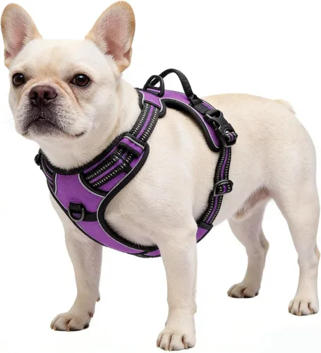 Vista 10 de Arnés negro reflectante sin tirones para perro con 2 clips para correa, chaleco acolchado suave para perros pequeños, fácil de poner y quitar