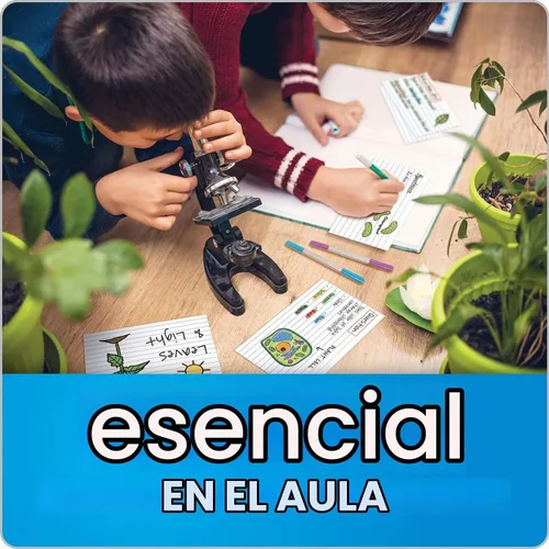 Vista 7 de Oxford Tarjetas de índice a rayas con bandeja de almacenamiento reutilizable, 3 x 5 pulgadas, 180 por paquete, tarjetas para escuela y estudio