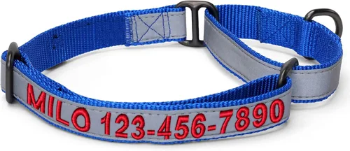 Vista 9 de Pawtitas Collar de perro Martingala personalizado reflectante reflectante bordado nombre personalizado número de teléfono ajustable para cachorros