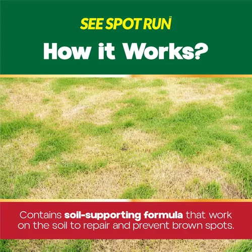 Vista 2 de Producto neutro See Spot Run