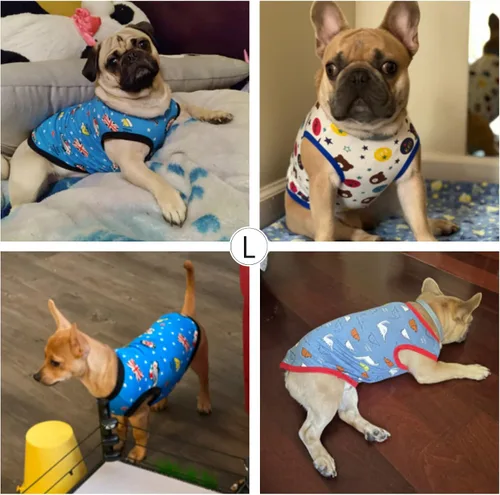 Vista 4 de Geyoga Camisas para perros de 6 piezas - Lindas camisas y sudaderas de algodón con estampado para perros (M)