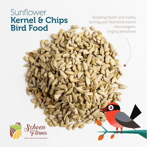 Vista 3 de Schoen Farms Granos y patatas fritas de girasol – Bolsa de 10.0 lbs – Semillas de pájaro de corazones de girasol con cáscara – Alimento sin desorden