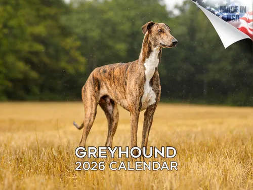 Vista 71 de Calendario de Lebrel Afgano 2025 2026, calendario mensual de pared de raza canina, 12" x 18" abierto, papel grueso sin traspaso, ideal para regalo