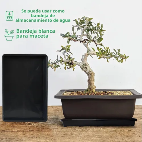 Vista 6 de RooTrimmer Paquete de 5 bandejas para macetas de vivero, bandeja de transporte y sujeción para plantas para macetas de inicio de semillas, Negro