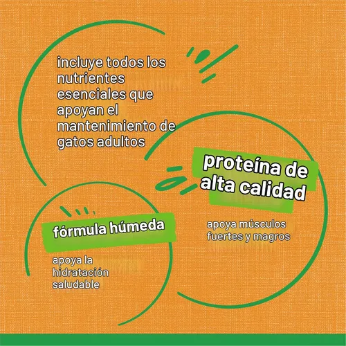 Vista 7 de Alimento húmedo para interior para gatos Purina Friskies, 24 unidades de 5.5 oz