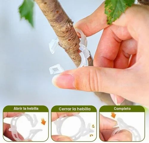 Vista 6 de Clip de plástico seguro para plantas, clips de soporte para plantas Blanco