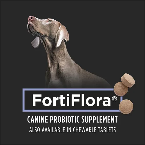Vista 7 de Purina Pro Plan - Suplementos veterinarios, suplementos para perros caninos Fortiflora & Calming Care, suplementos probióticos, 30 CT cada uno