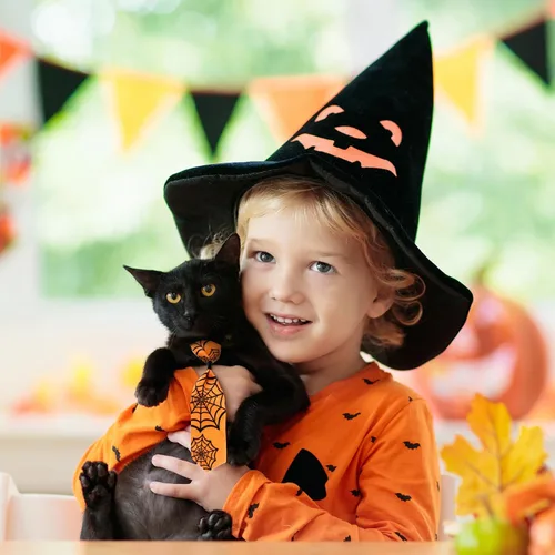 Vista 4 de Frienda 6 lazos de Halloween para perros pequeños, gatos, collares de perro de Halloween, ajustables, calavera, corbatas para mascotas, corbatas