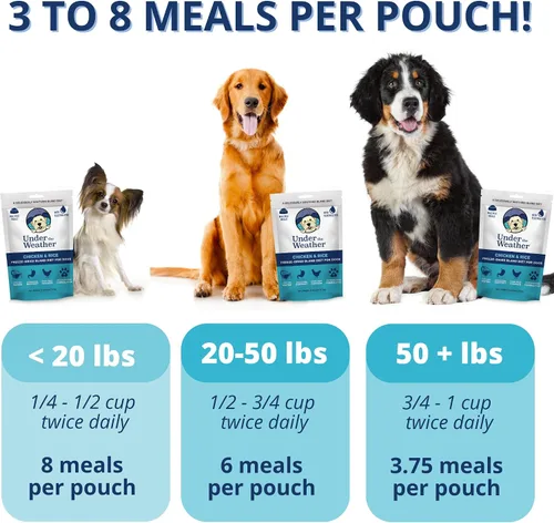 Vista 2 de Under the Weather Bland Diet para perros Fácil de digerir para perros enfermos Siempre esté listo Contiene electrolitos – Carnes naturales