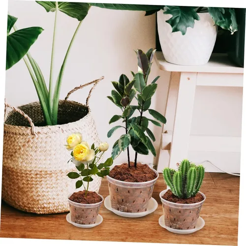 Vista 4 de 3 macetas de plástico translúcido para orquídeas para agujeros de drenaje, macetas de interior para plantas y platillos Set, Sturdy Crack Resistant