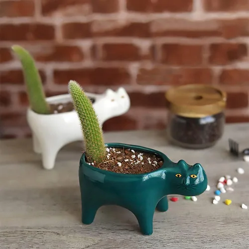 Vista 6 de DIYOMR Macetero de animales para suculentas, macetas de cerámica para gatos, contenedores de cactus o plantas para decoración del hogar, oficina