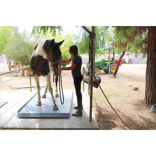 Vista 2 de SellEton SL-929 - Báscula de ganado y callejón para ganado, equipo de pesaje de animales con dos rampas con 5000 libras x 1 libra