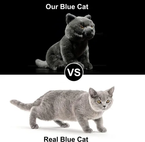 Vista 7 de Gato corto británico de peluche, gato gris de peluche de 11 pulgadas, juguete suave para niños (gato británico de pelo corto 2)