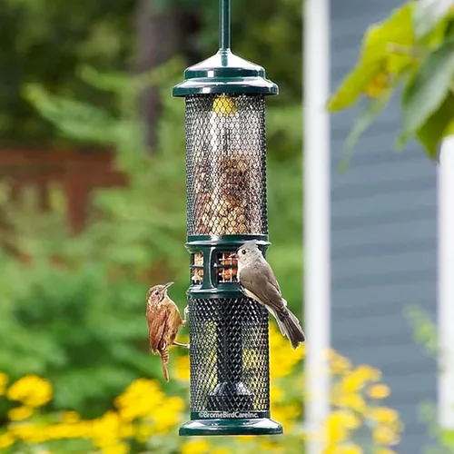 Vista 5 de Comedero para Nueces Squirrel Buster - Comedero para Pájaros a Prueba de Ardillas para Nueces y Frutas, Dos Mallas