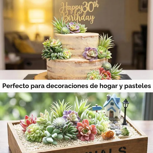 Vista 6 de HappyHapi 12 piezas de suculentas artificiales, mini plantas falsas sin maceta para manualidades, pequeñas suculentas de plástico surtido