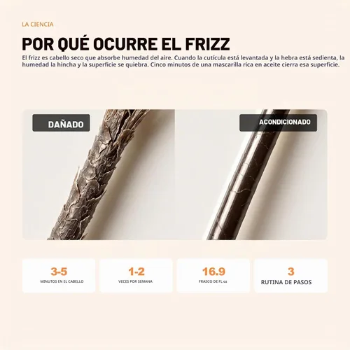 Vista 8 de Morfose - Mascarilla capilar con aceite de argán y acondicionador profundo para cabello grueso y seco, tratamiento nutritivo marroquí para cabello