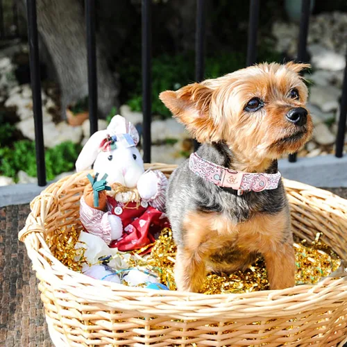 Vista 5 de Elegant little tail Collar para perro de Pascua, collar de perro con estampado de huevos de conejo, collar para mascotas, collar rosa para perros