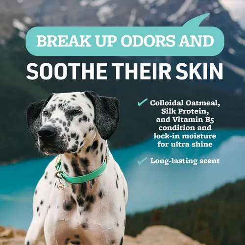 Vista 31 de Veterinary Formula Smart Coat Complex - Champú de avena calmante y desodorizante para perros, 17 onzas líquidas, bicarbonato de sodio elimina