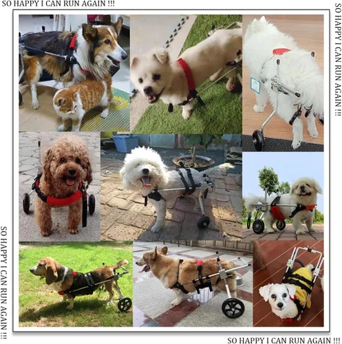 Vista 5 de Silla de ruedas para perros para patas traseras, rueda de ejercicio ligera para perro, ajustable de 2 ruedas para gato/perro, silla de ruedas