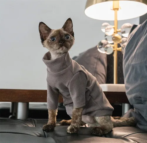 Vista 3 de Ropa de gatos sin pelo, camiseta de algodón, chaleco transpirable para primavera y otoño, ropa de gato con cuello alto para Sphynx, Cornish Rex