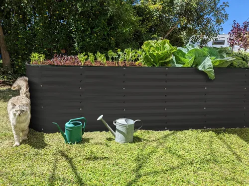 Vista 6 de Plant & Plot Camas de jardín elevadas galvanizadas para exteriores/ Jardinera elevada de 8 x 2 x 2 pies para jardinería, verduras, flores (negro)