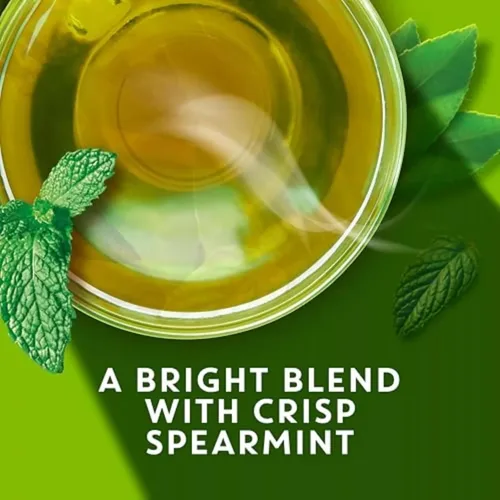 Vista 3 de TAZO Bolsas de té, té verde, té zen orgánico regenerativo, 36