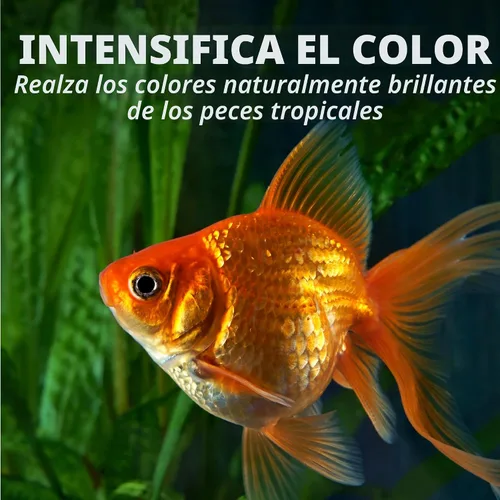 Vista 11 de Tetra Goldfish Flakes, dieta nutricionalmente equilibrada para peces de acuario, copos enriquecidos con vitamina C, 0.42 onzas