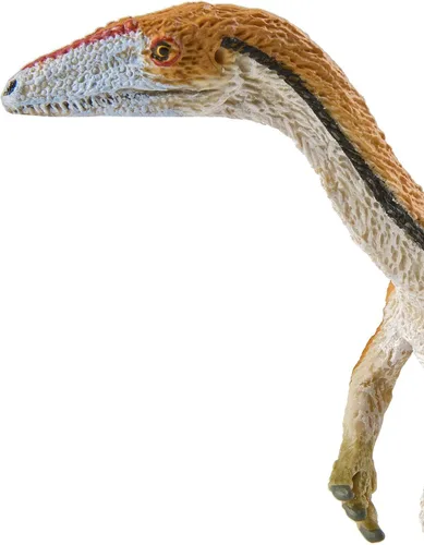Vista 7 de Safari Ltd. Figura de Coelophysis - Figura detallada de dinosaurio carnívoro de 7.25 pulgadas, juguete educativo para niños, niñas y niños a partir