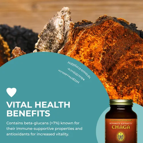 Vista 5 de HealthForce SuperFoods Integrity Extracts Chaga - Polvo - 2.47 oz