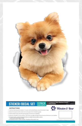 Vista 6 de Winston & Bear Calcomanías de pared para perros de Pomerania, paquete de 2, calcomanías para inodoro de perro alemán Spitz - Adhesivo 3D