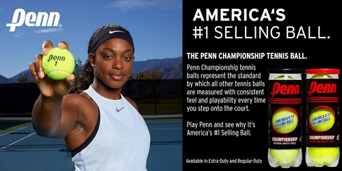 Vista 4 de Penn Pelotas de tenis Championship - Pelotas de tenis a presión de fieltro de servicio regular
