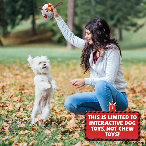Vista 9 de QDAN Pelotas de juguete para perros: Pelota de fútbol para entrenamiento de mascotas con correas - Pelota para cachorros, extra pequeña, pelotas