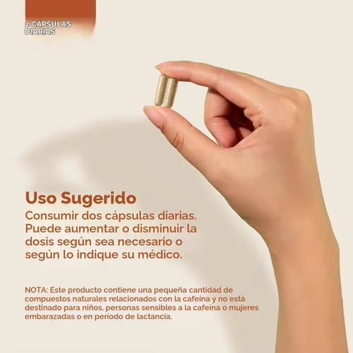 Vista 5 de ANDREW LESSMAN ProCaps Energy & Fat Metabolism Factors 60 Cápsulas