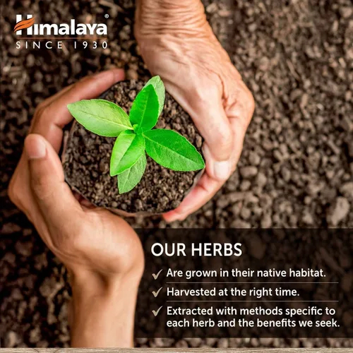 Vista 7 de Himalaya GlucoCare - Metabolismo de la glucosa a base de hierbas y apoyo pancreático con melón amargo, gimnasia, trifala y cúrcuma - Soporte natural