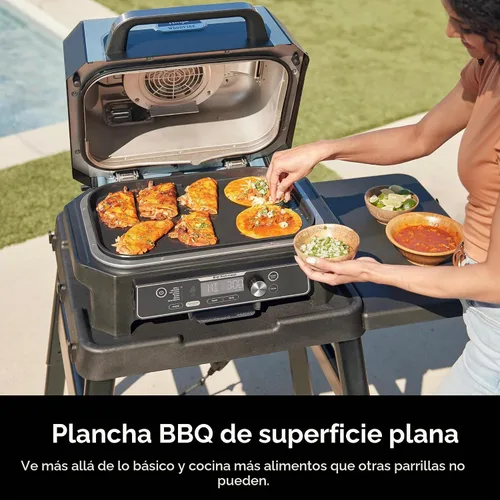 Vista 2 de Ninja Woodfire XL - Placa de plancha para OG800/OG900, cerámica