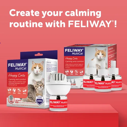 Vista 8 de FELIWAY MultiCat - Kit de difusor calmante para gatos y 6 paquetes de recambio, ayuda a reducir la lucha, la tensión y la agresión entre gatos