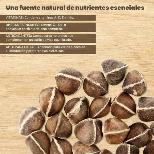Vista 5 de Moringa Seeds sin alas, 16 onzas / 1 libra, variedad PKM1, aperitivos comestibles, plantación, Moringa Oleifera, Malunggay, Semillas de Moringa