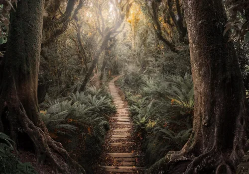 Vista 33 de artgeist Mural de pared premium Bosque púrpura, 79 x 55 pulgadas, papel tapiz no tejido, decoración de pared de vellón, impresión fotográfica